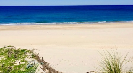 La plage du Cap de l'Homy